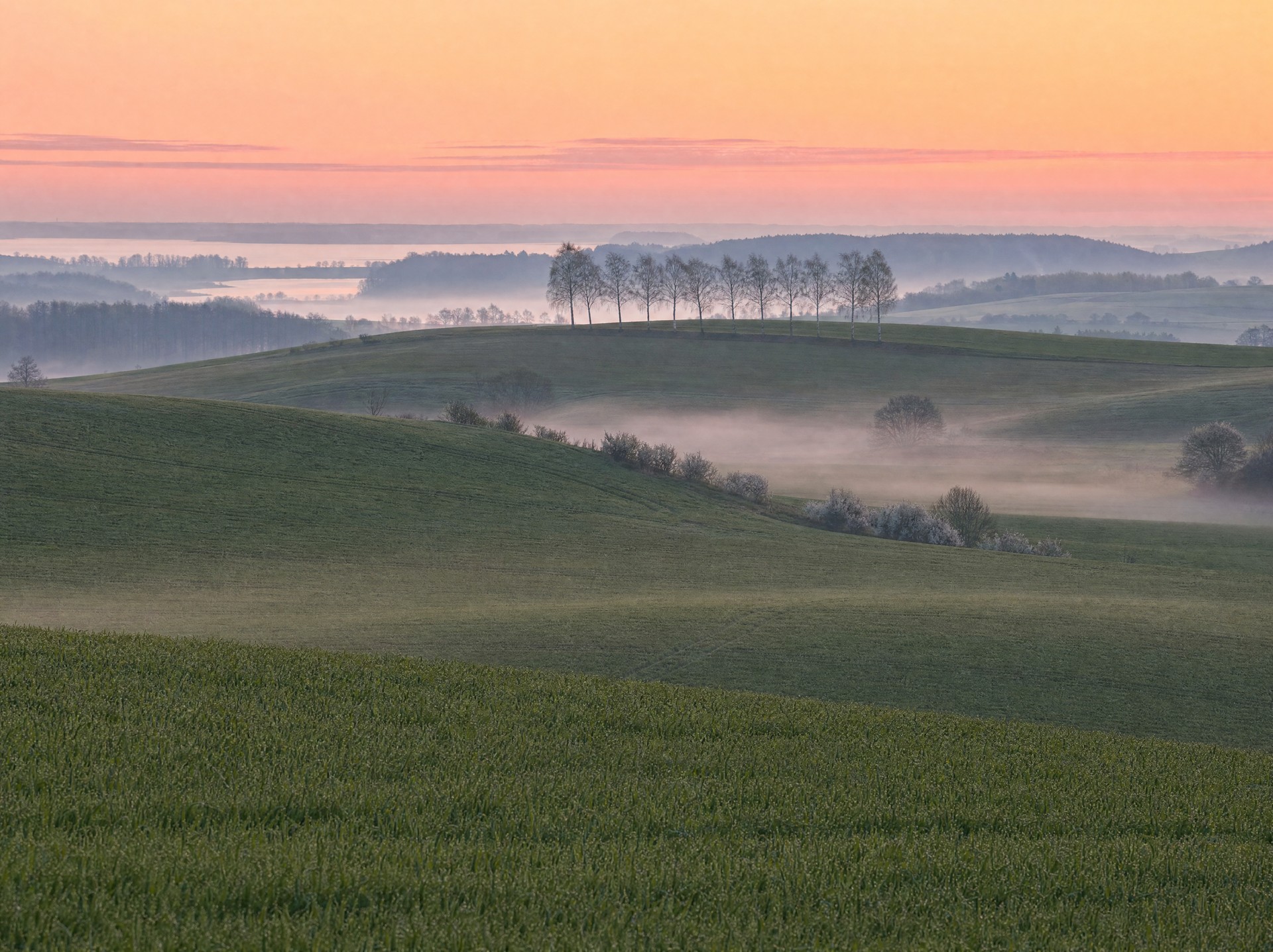Faliste pola pojezierza brodnickiego o wschodzie słońca